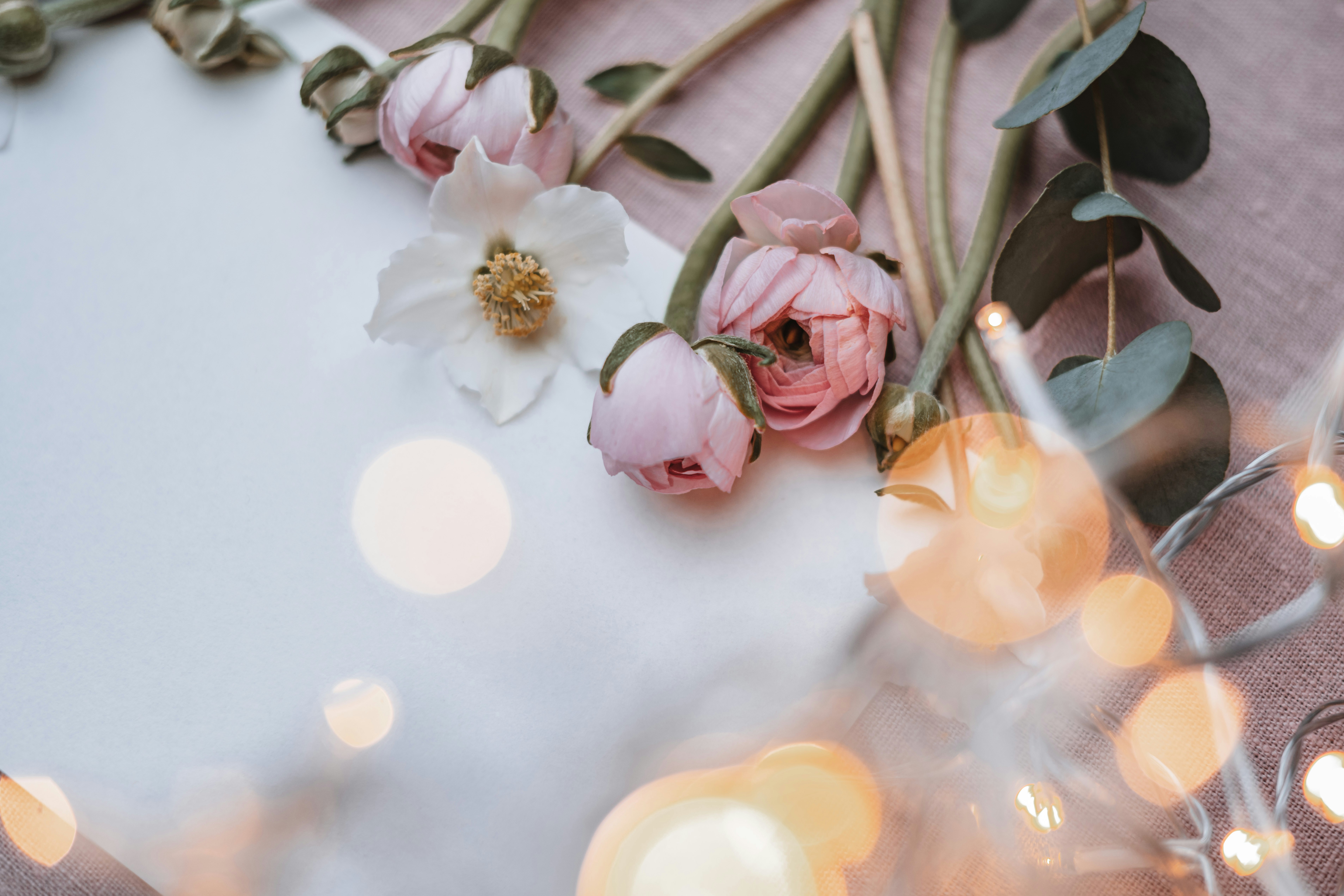 Photo by anitaaustvika