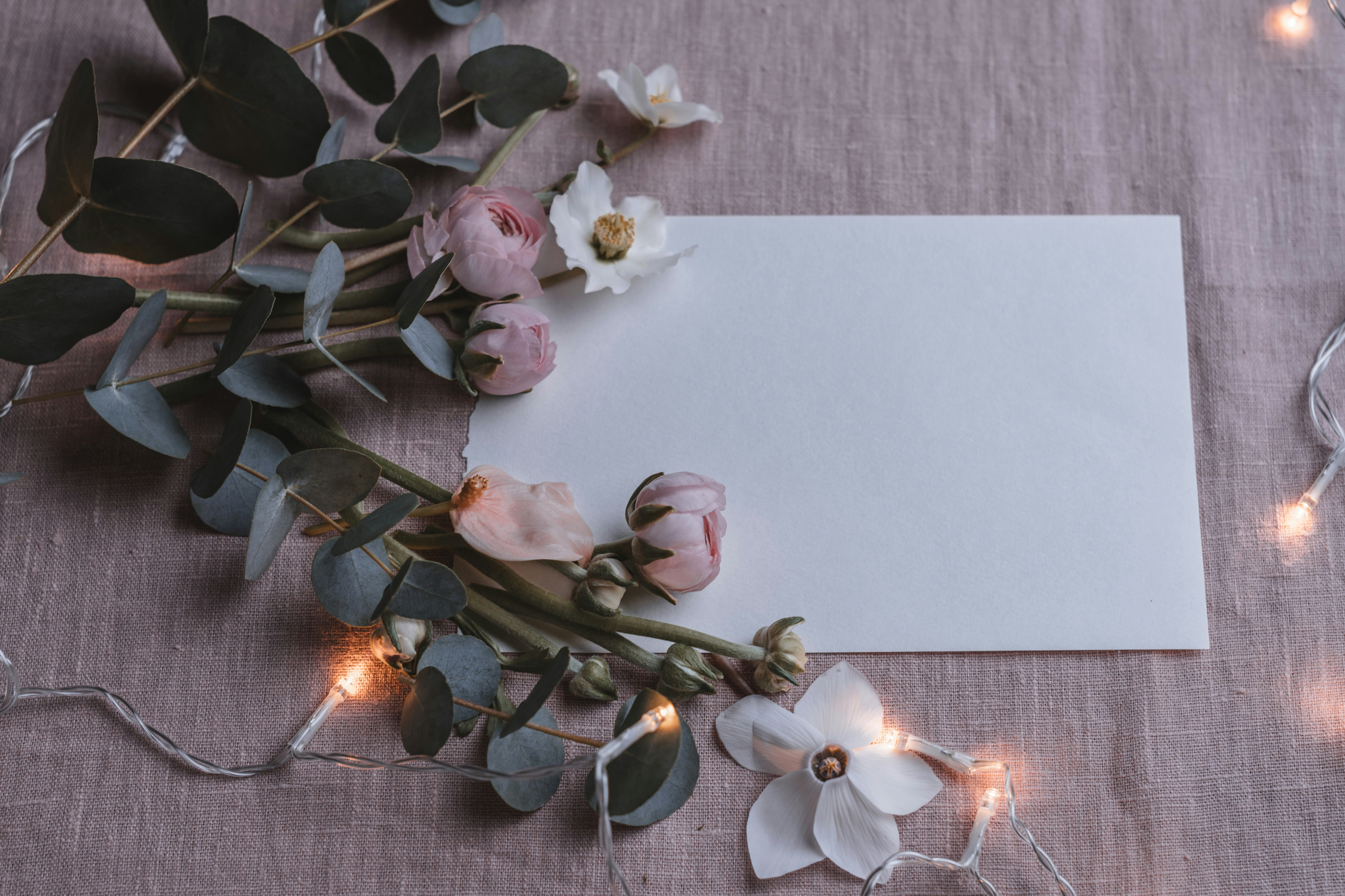 Photo by anitaaustvika