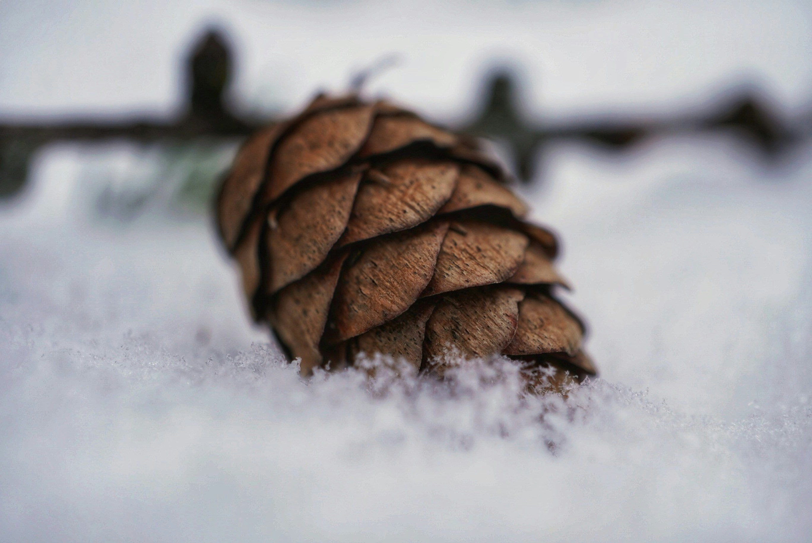 Photo by meri_vasilevski