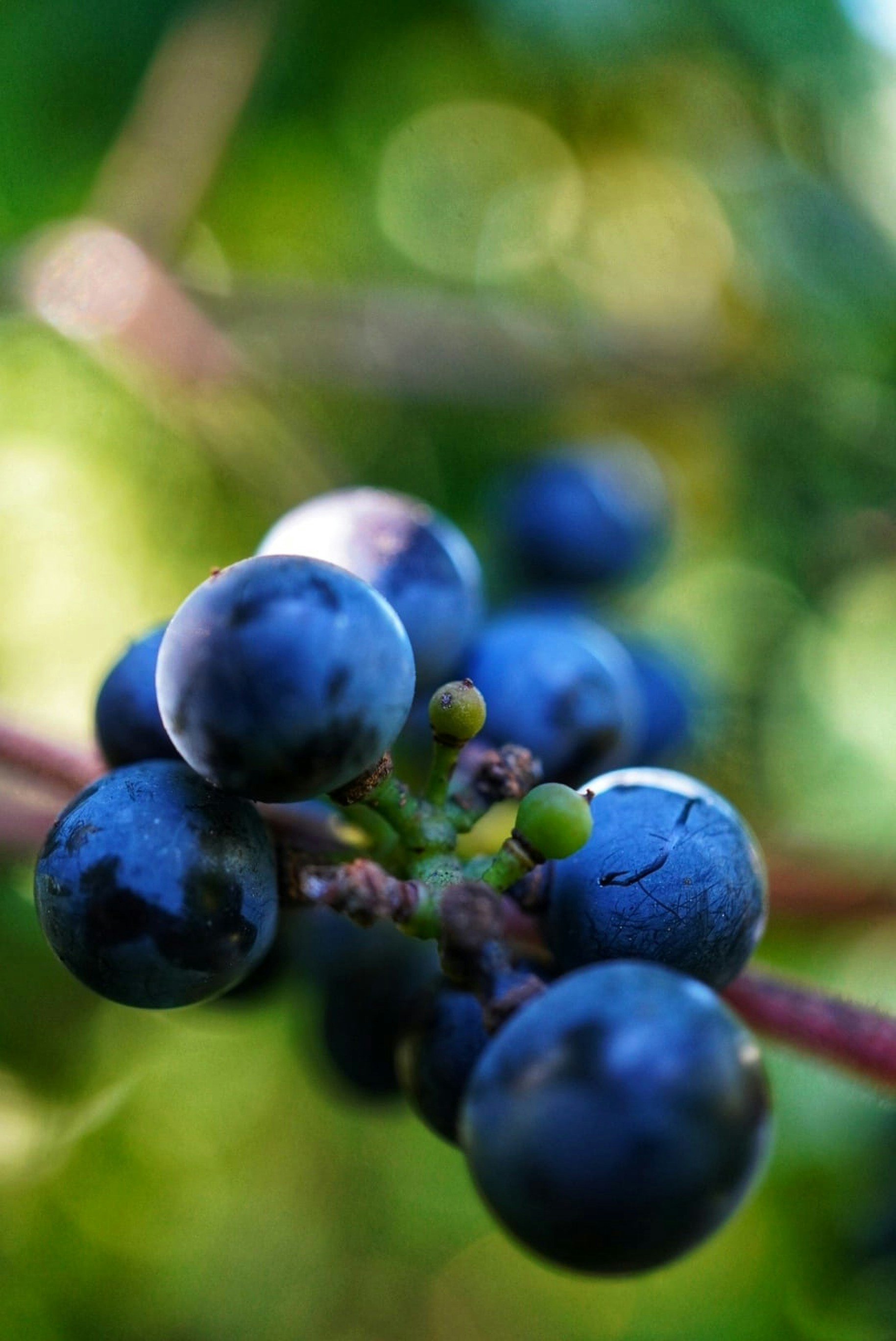 Photo by meri_vasilevski