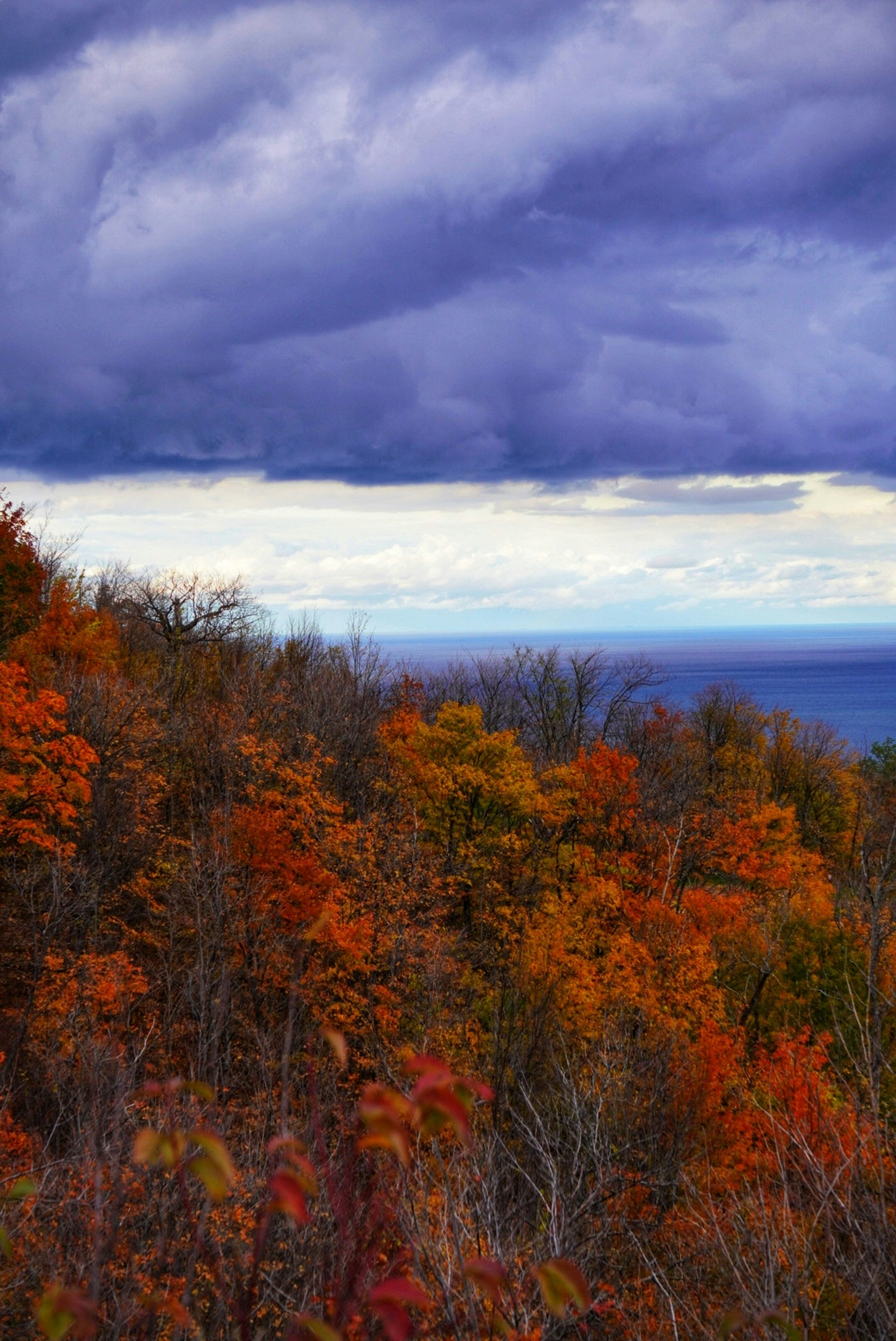 Niagara Escarpment fall landscape near Collingwood