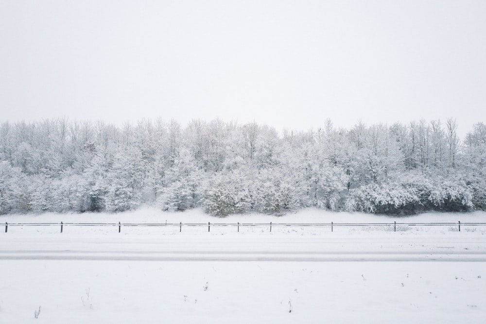 a snow covered field with trees in the background