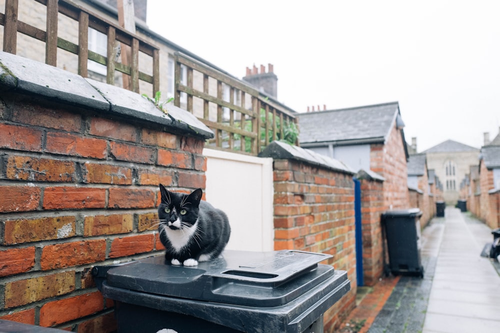 a black and white cat sitting on top of a trash can