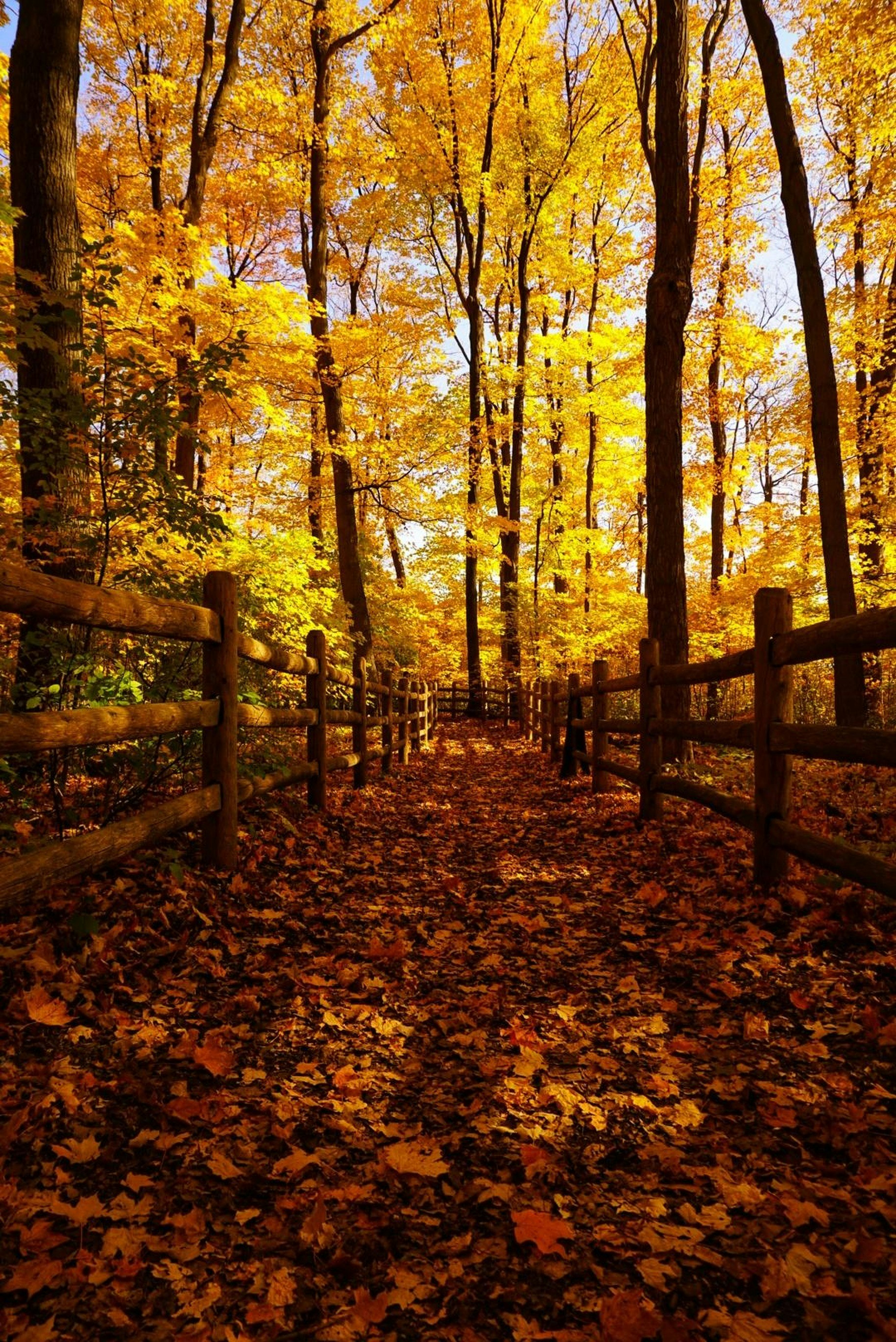 Photo by meri_vasilevski