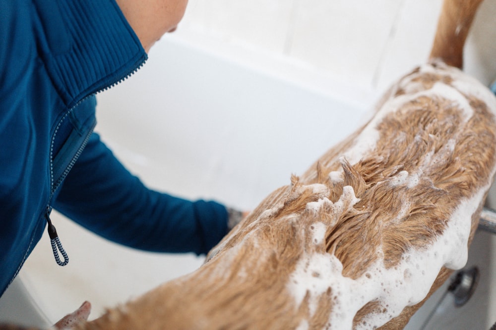 eine Person, die einen Hund in einer Badewanne wäscht