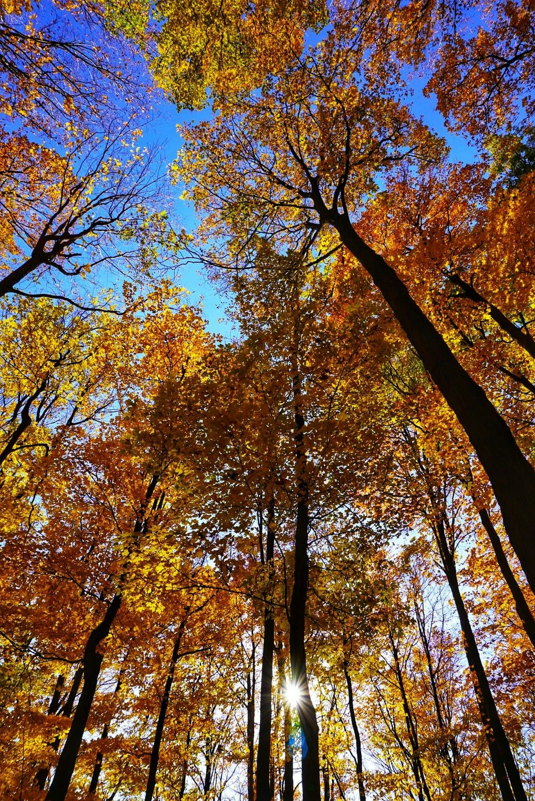 Photo by meri_vasilevski