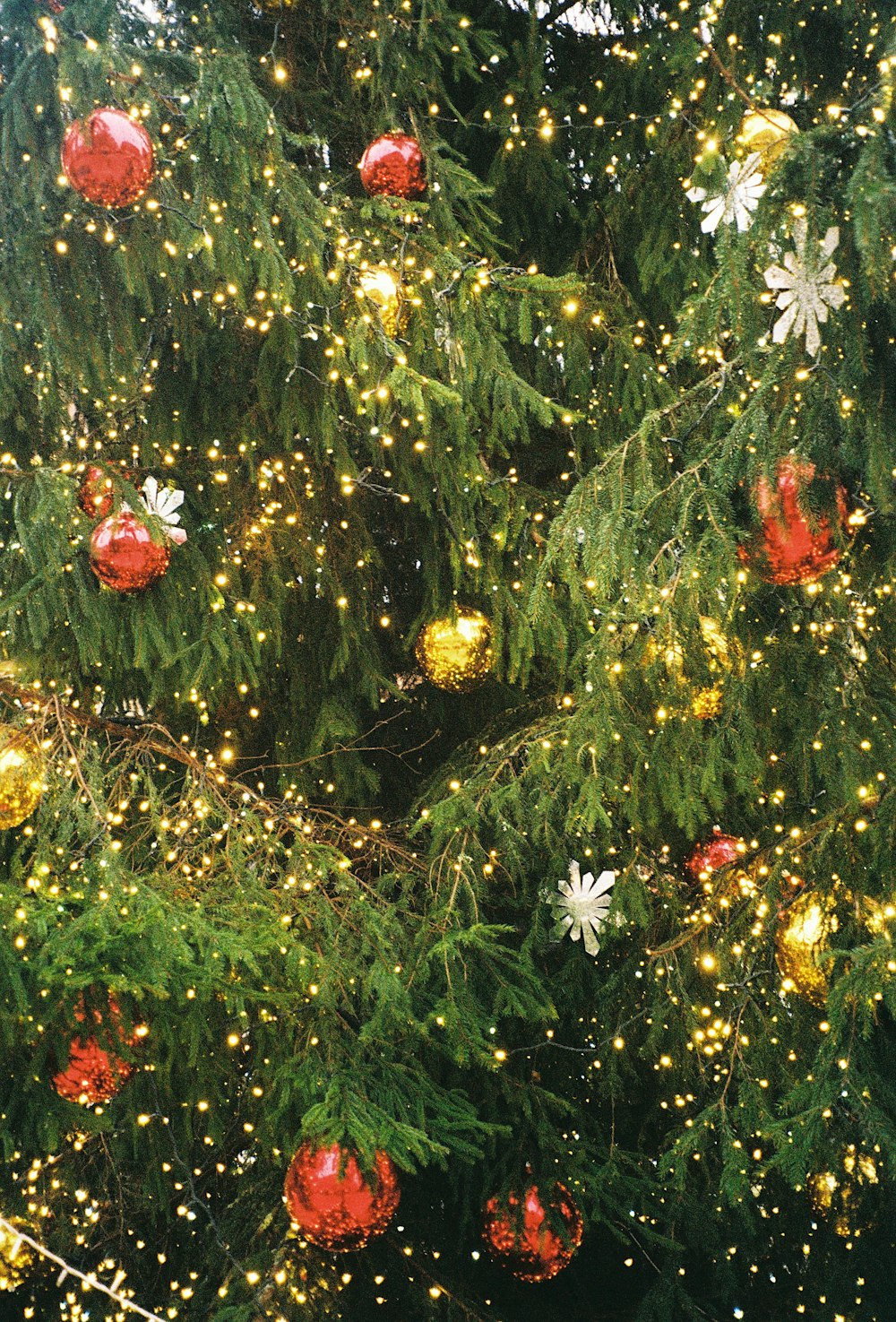 ライト付きのクリスマスツリーの接写