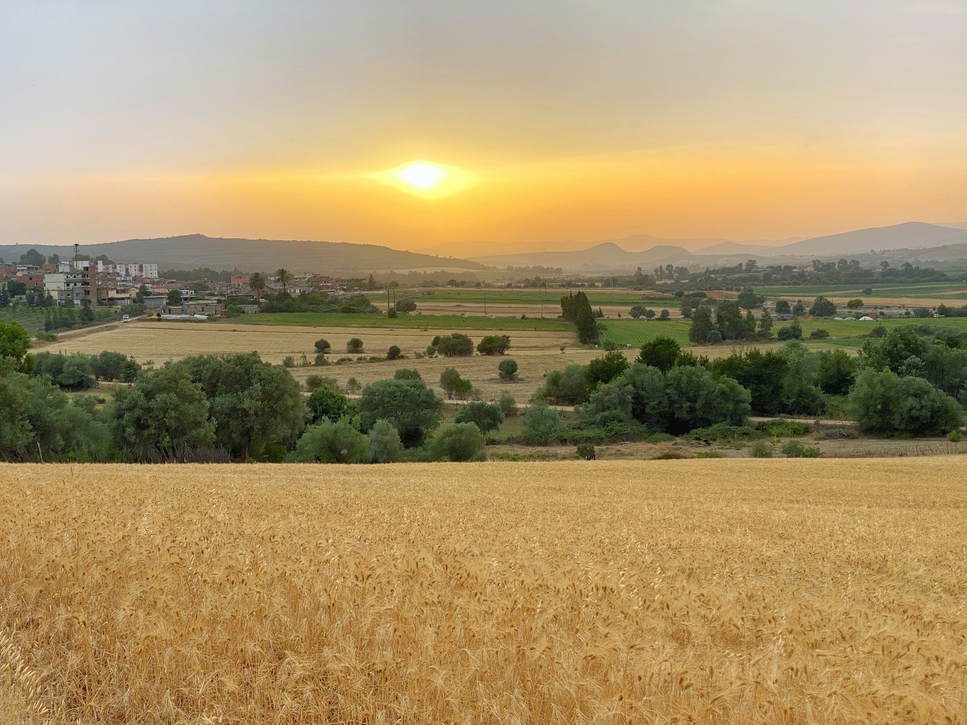 Photo by hamzabdrahman