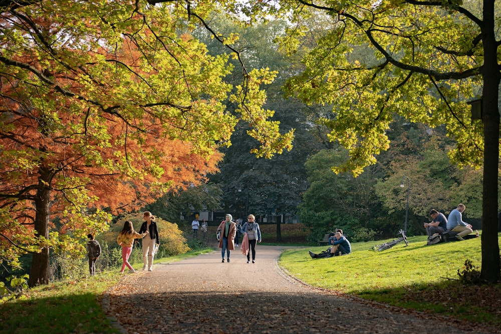 um grupo de pessoas caminhando por um caminho em um parque