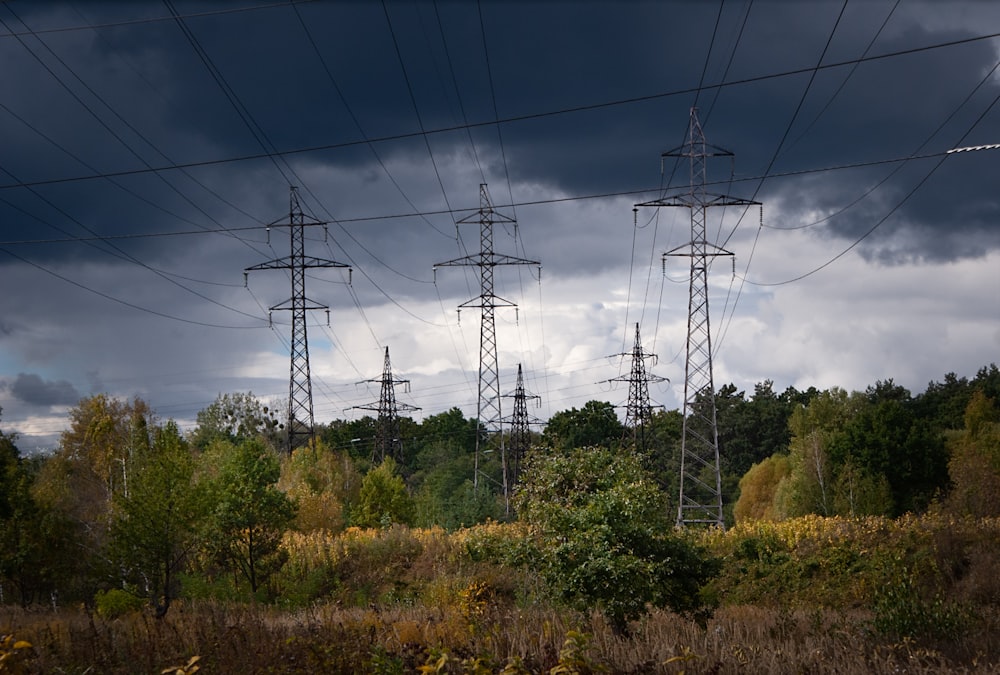 a group of power lines in the middle of a forest