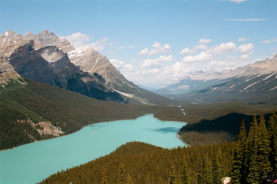 a lake in the middle of a mountain range, Peyto lake on film