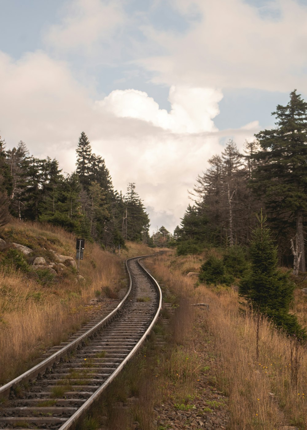 a train track running through a wooded area