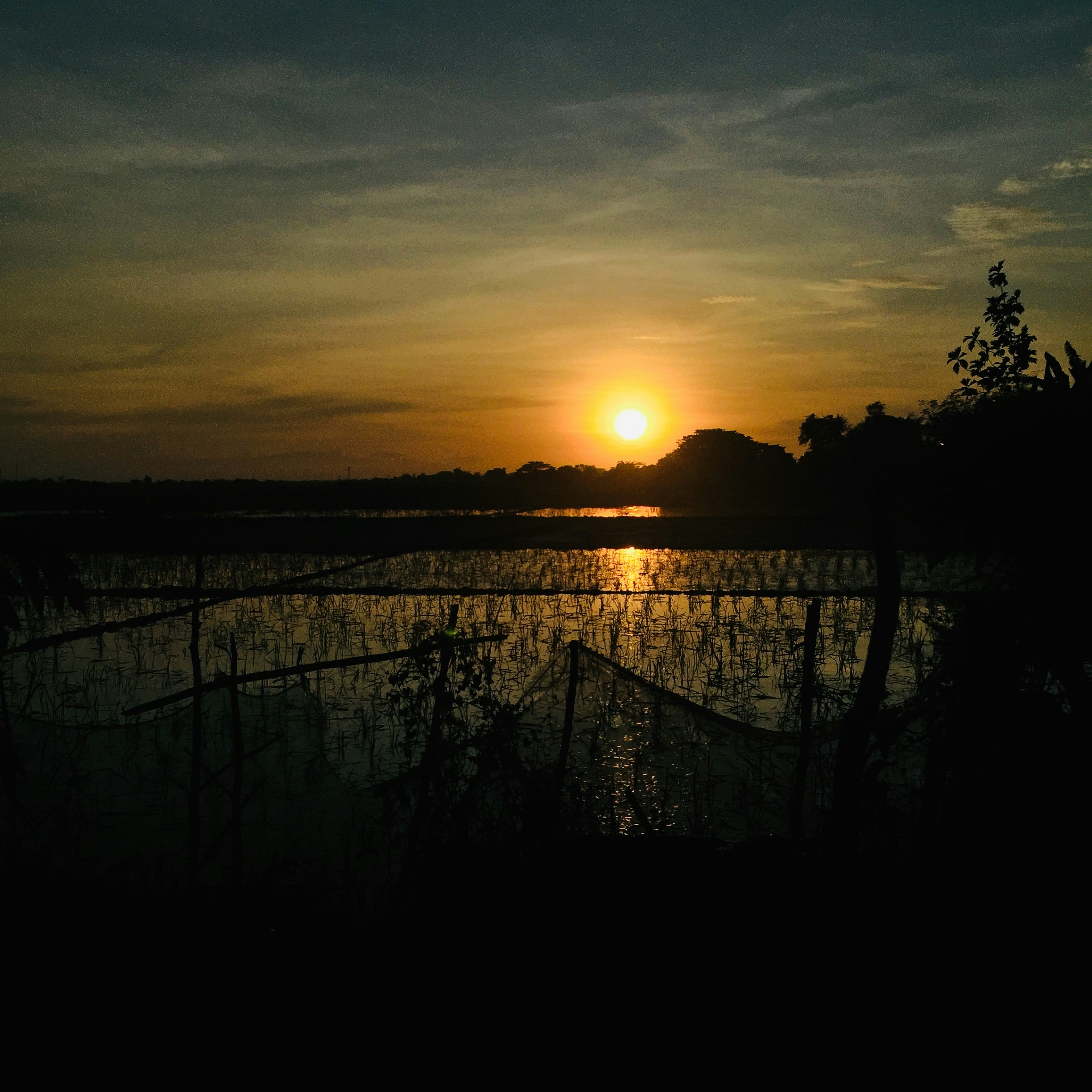 Photo by crisllego