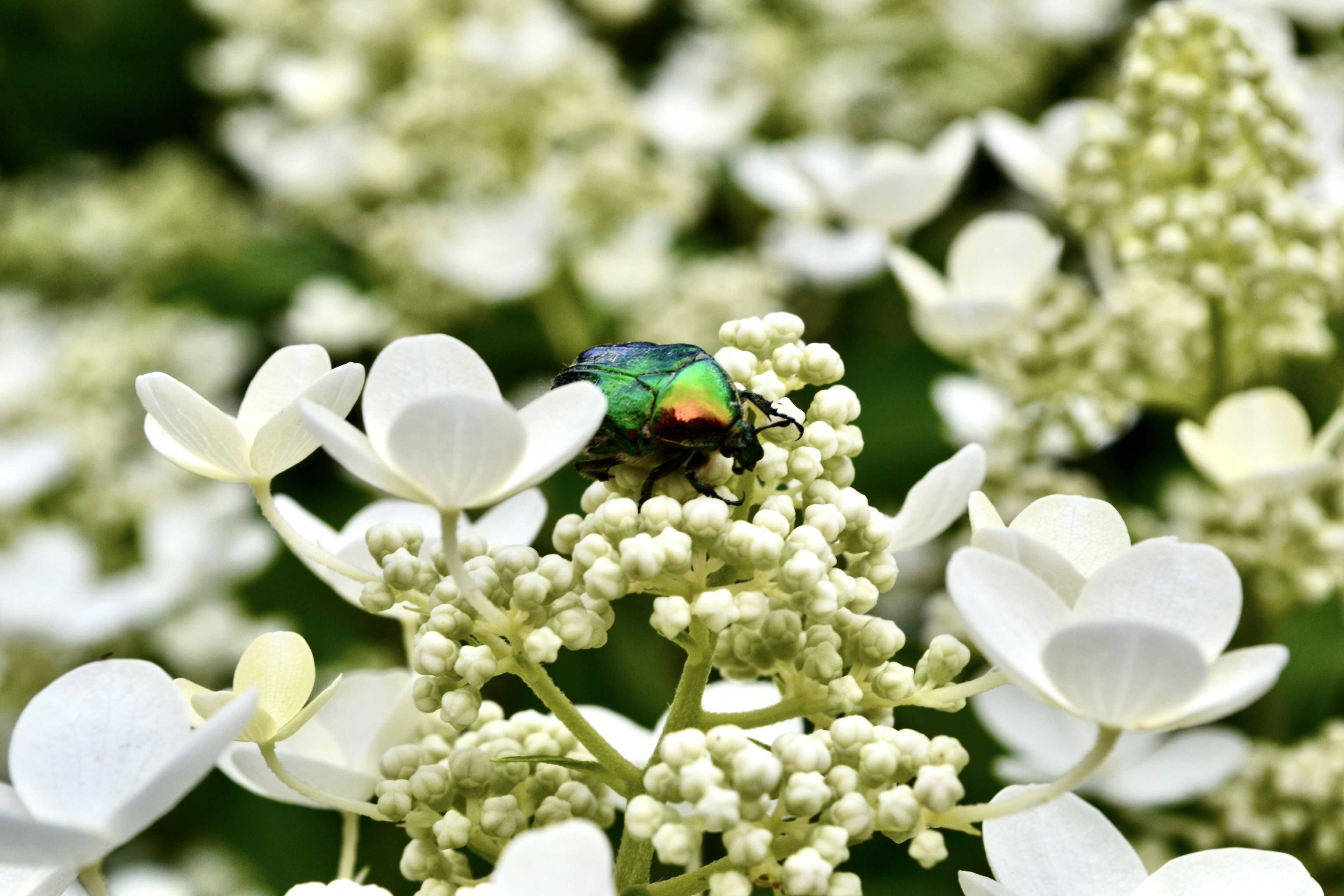 Photo by evgenslavin