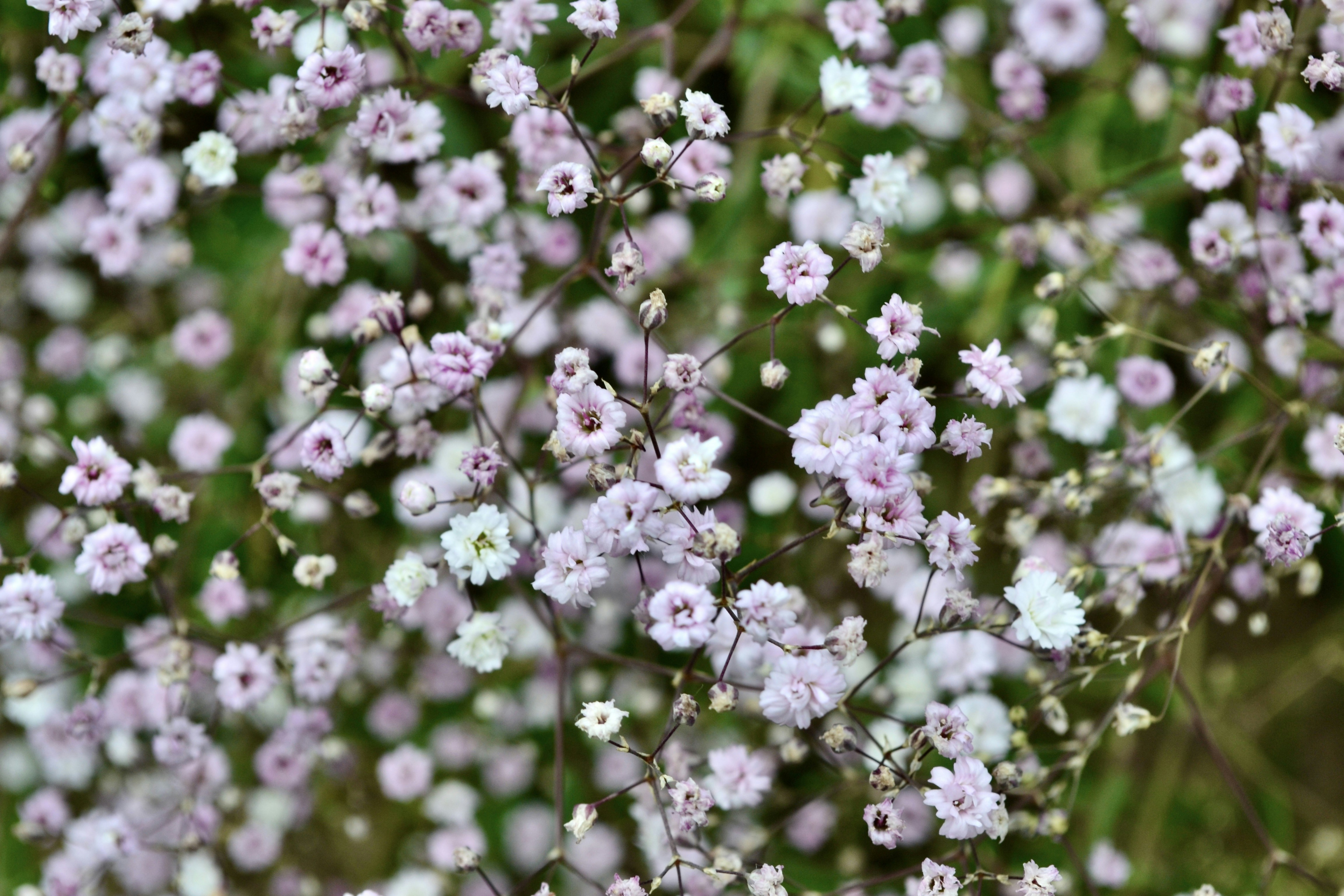 Photo by evgenslavin