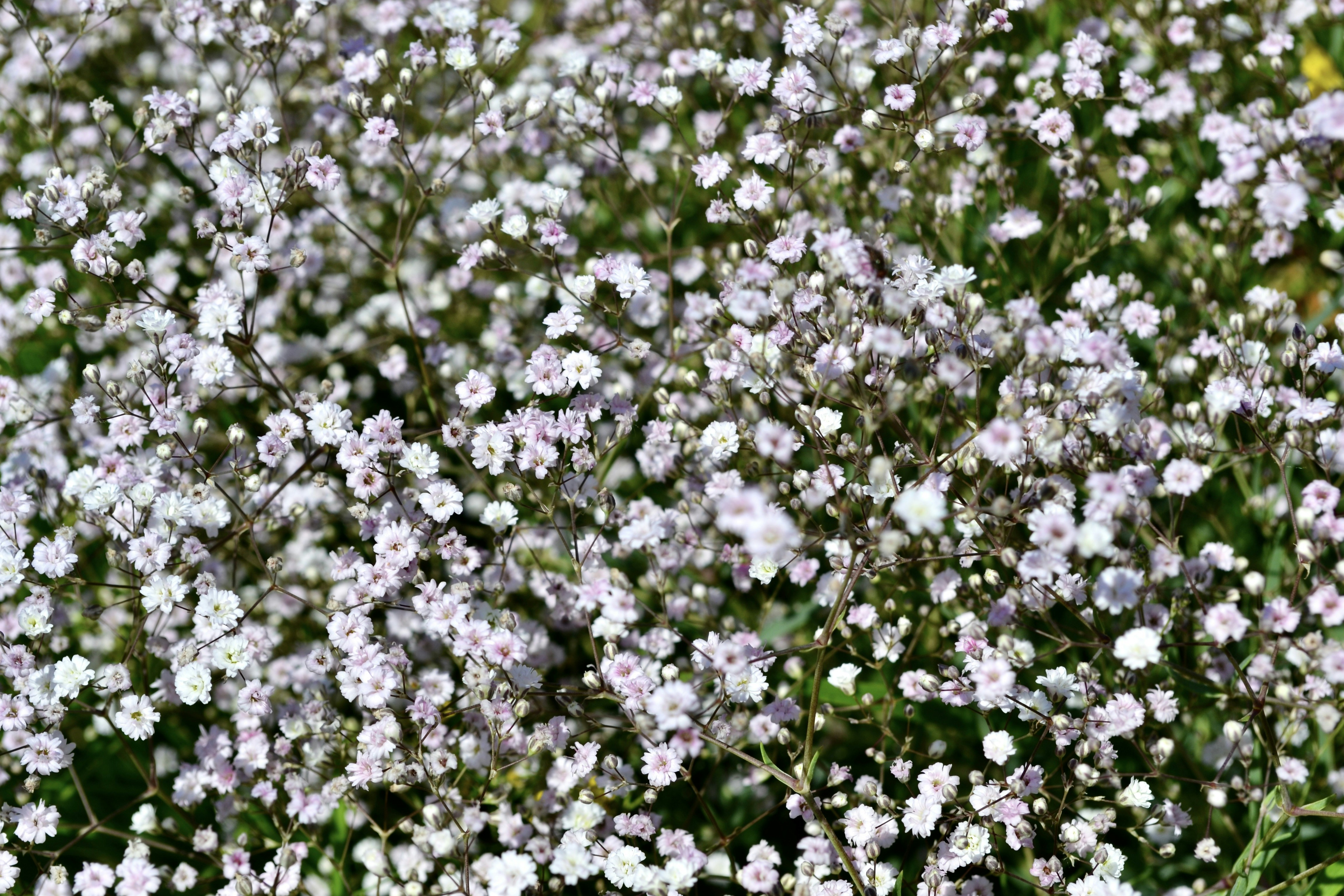 Photo by evgenslavin