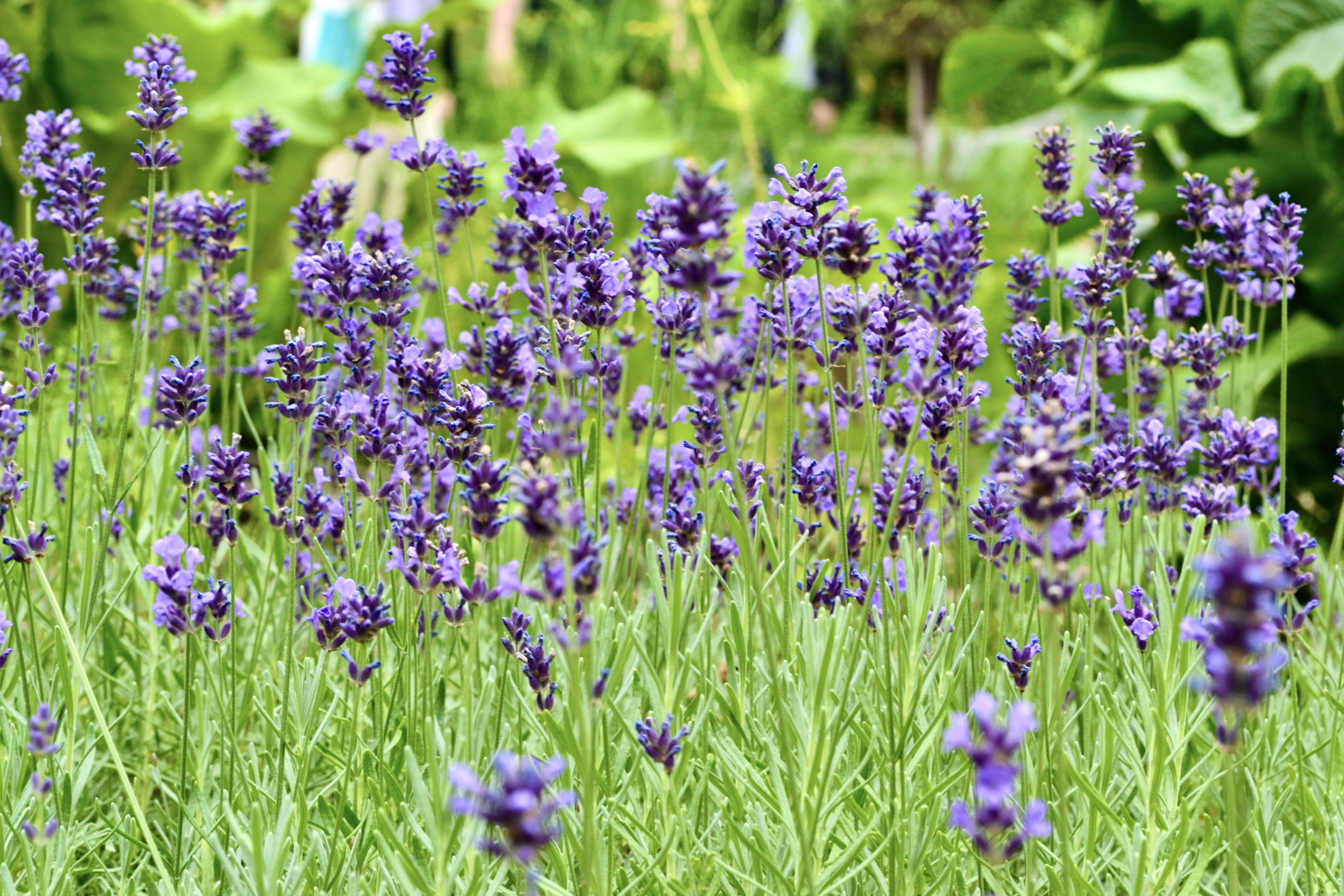 Photo by evgenslavin