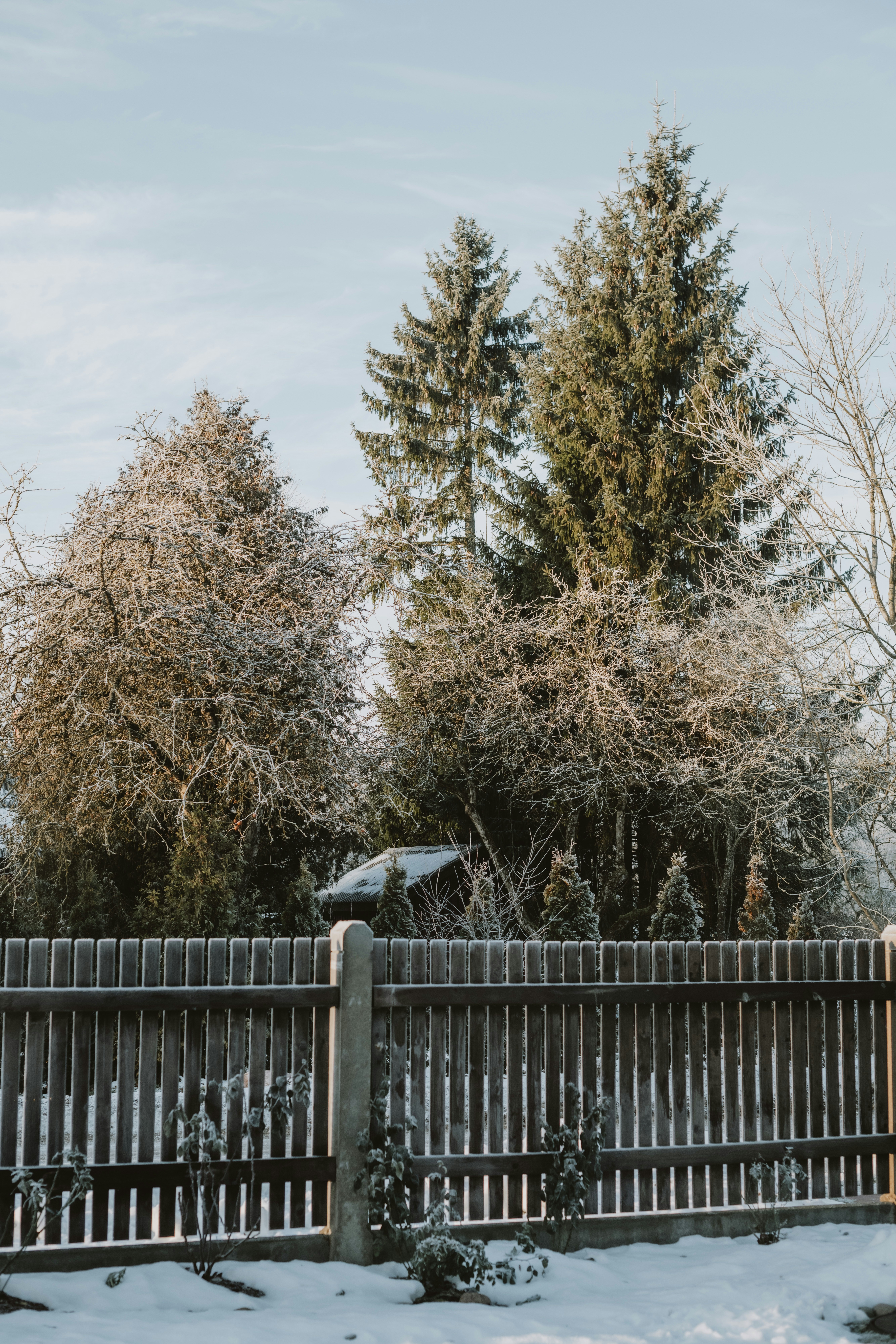 Photo by anitaaustvika