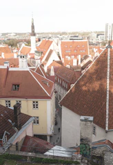 A scenic view of a European city with historic architecture and cobblestone streets.