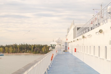 A large passenger ship, likely a cruise liner, is docked or sailing near a forested coastline. The deck is spacious and clean, with lifebuoys and railings visible. It is daytime with a cloudy sky, and several seagulls are flying over the water.