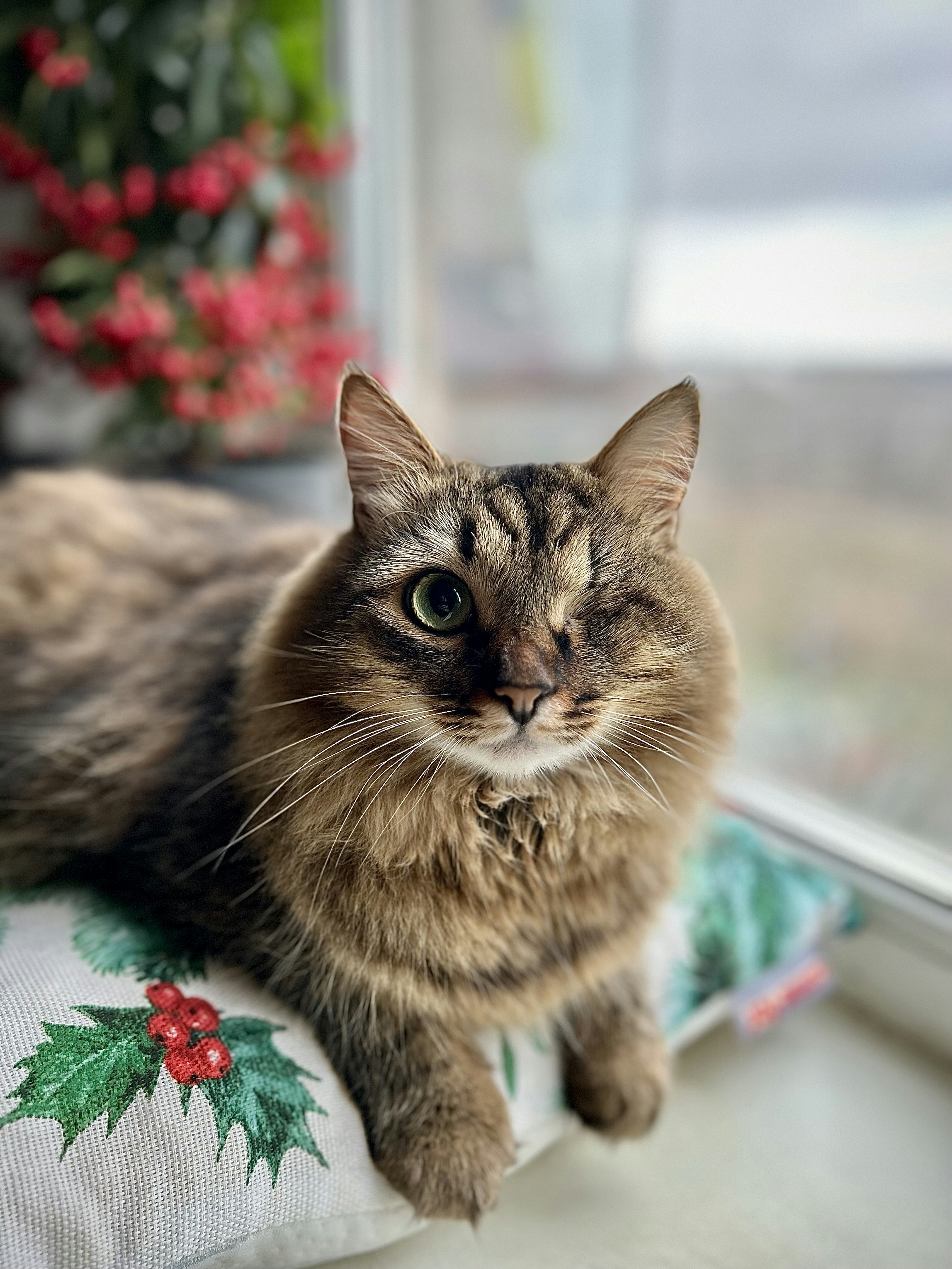 Photo by anastasiiad