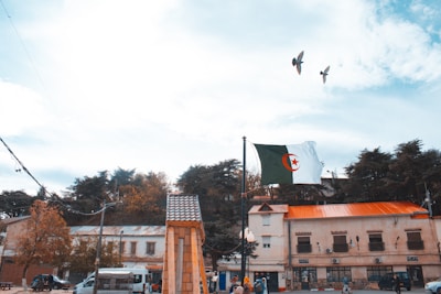 A public square with buildings, trees, and a large flagpole featuring the Algerian flag in the foreground. The sky is partly cloudy, and two birds are flying overhead. People can be seen walking around near parked vehicles.