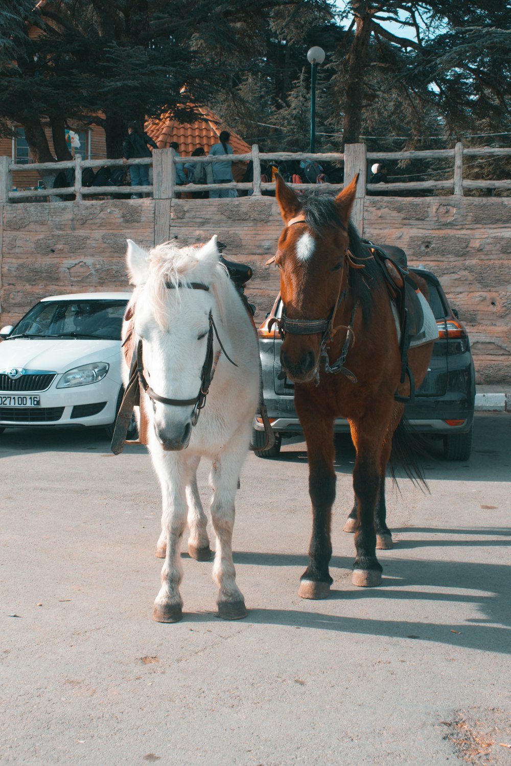 a couple of horses that are standing in the street