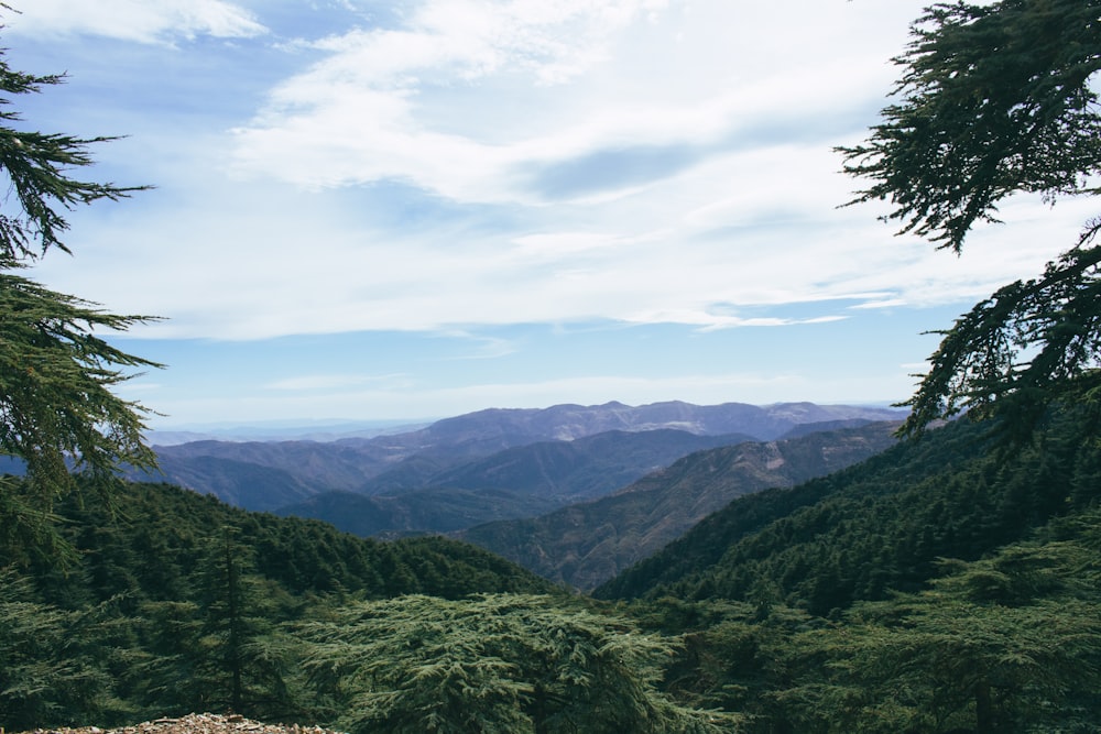 a view of a mountain range from a distance