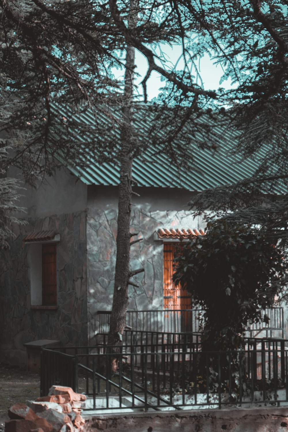 a house with a fence and a tree in front of it