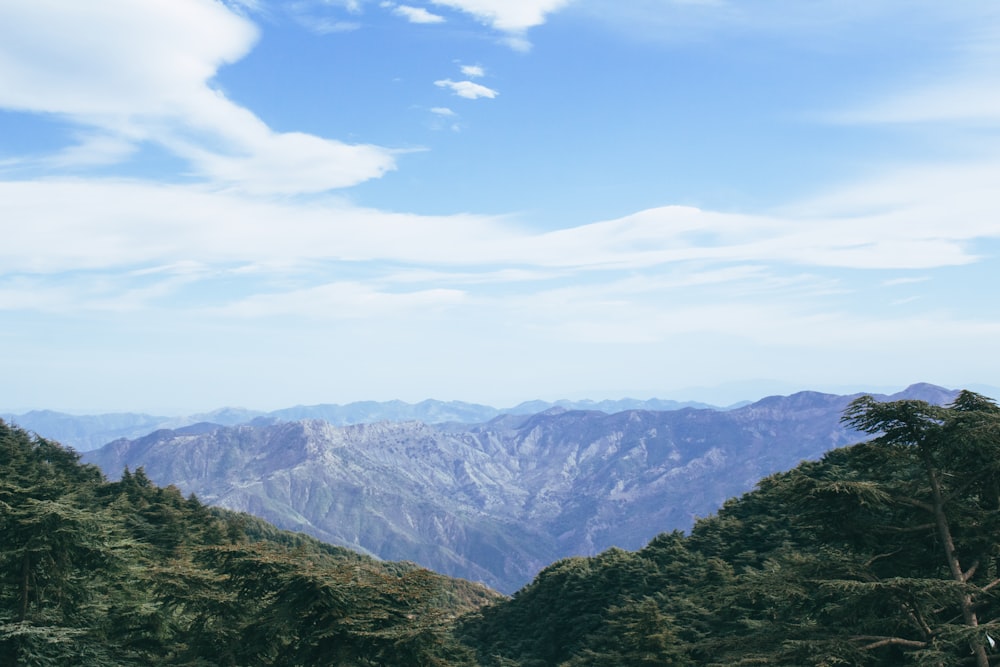 a scenic view of a mountain range with trees in the foreground