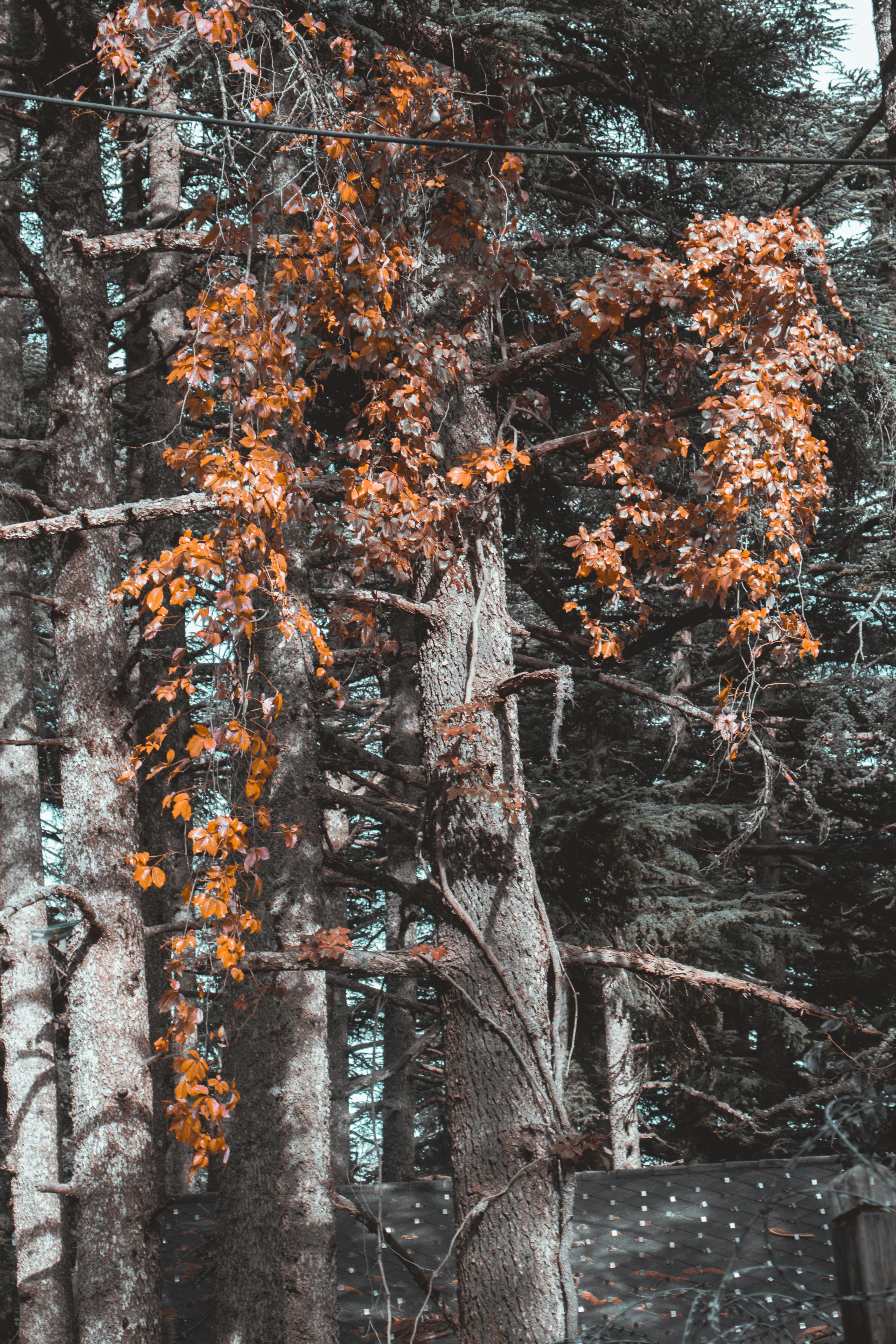 Photo by mezidi_zineb