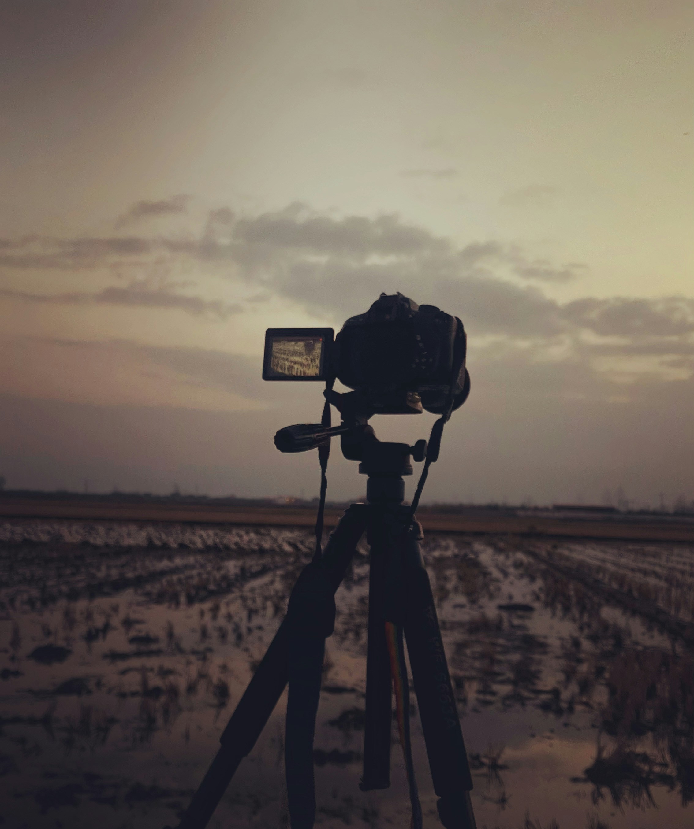 Professional camera on a tripod overlooking a wet field.