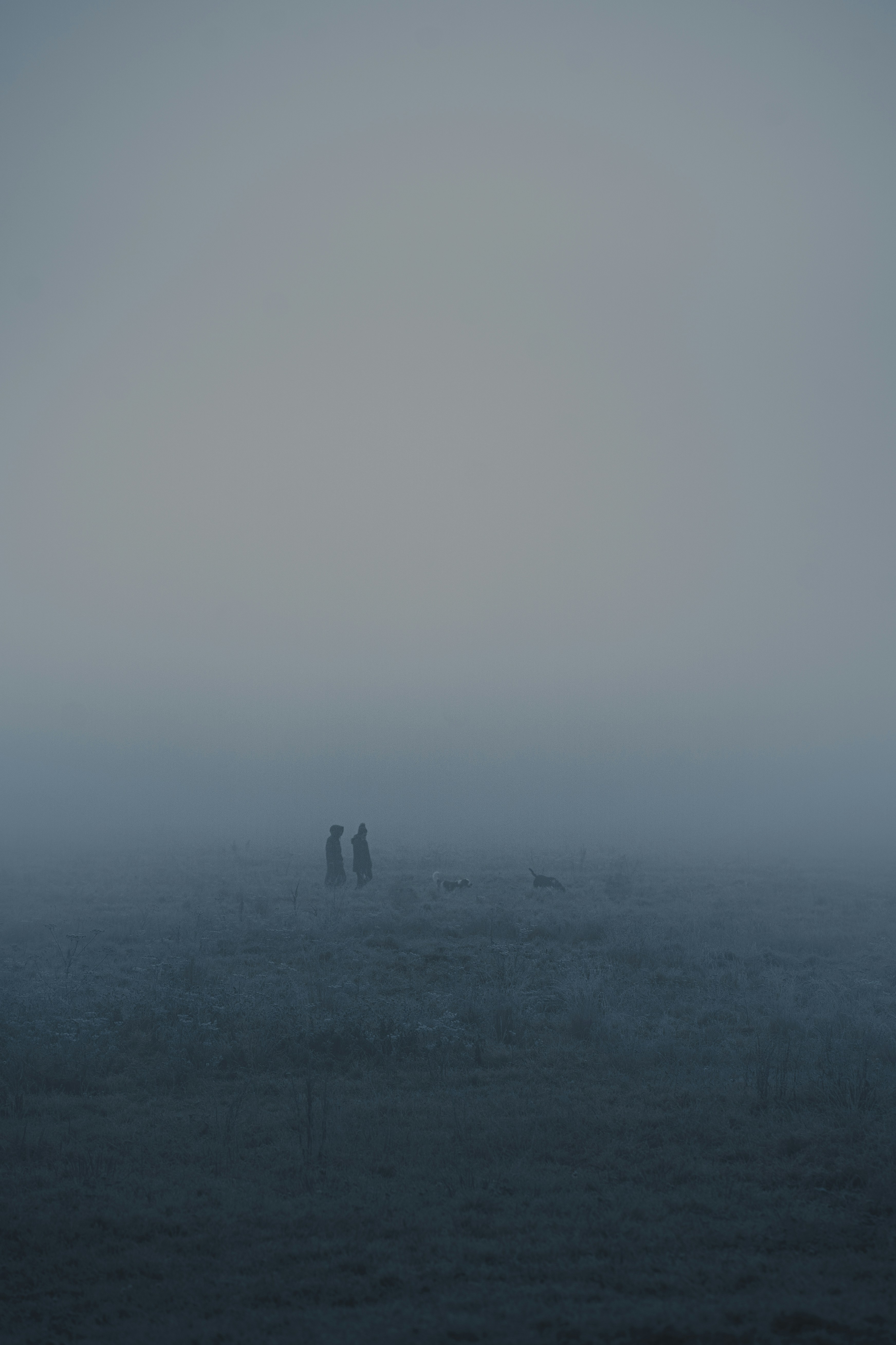 Photo by mateuszklein