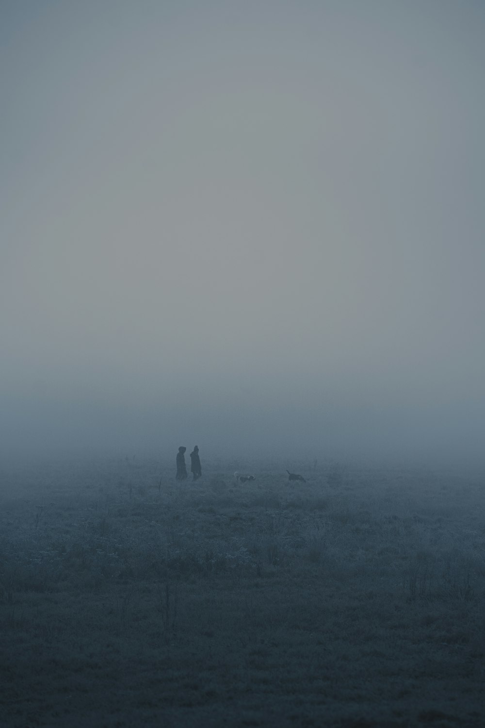 two people standing in a field on a foggy day