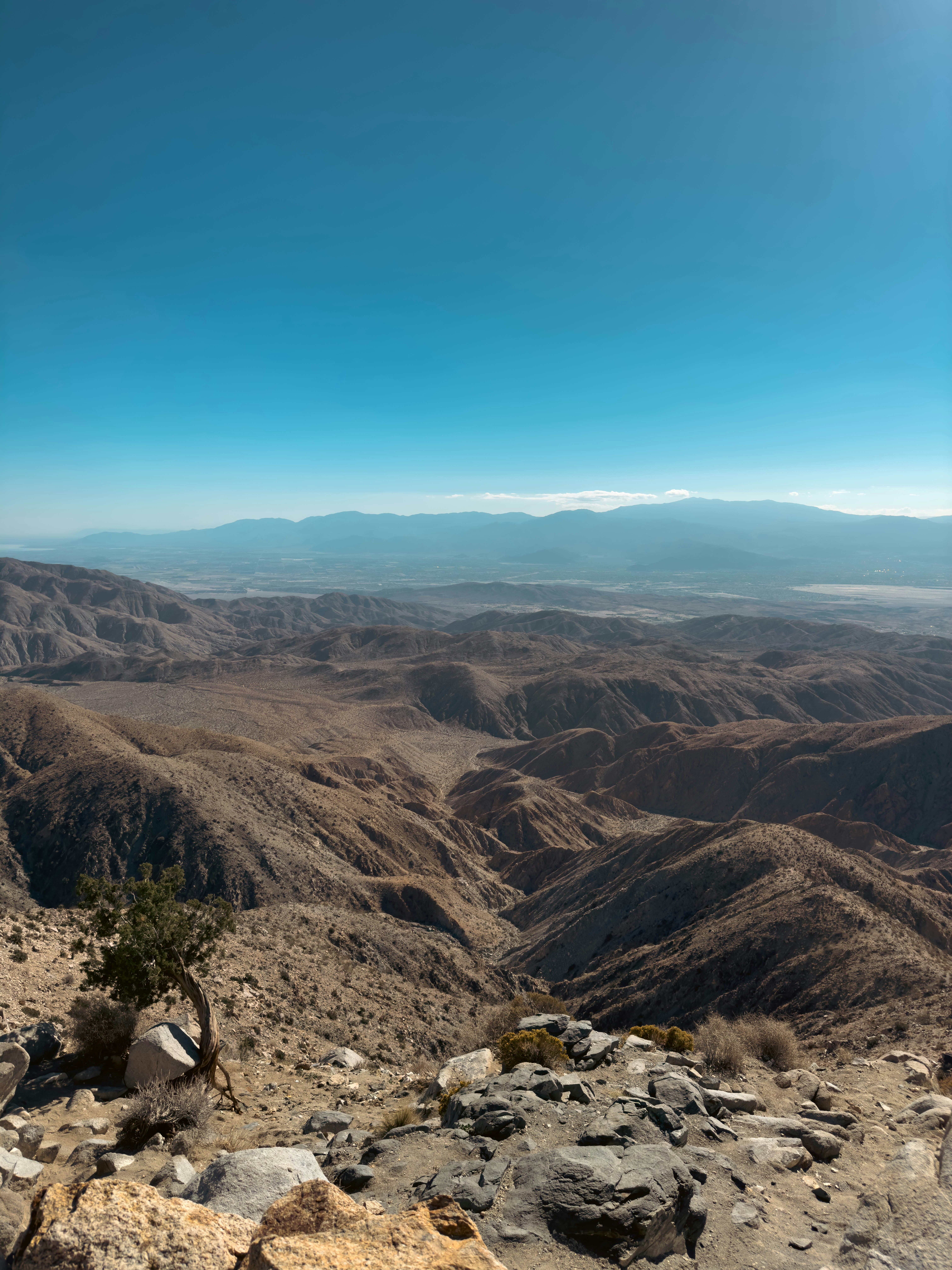 Photo by sonalipriya