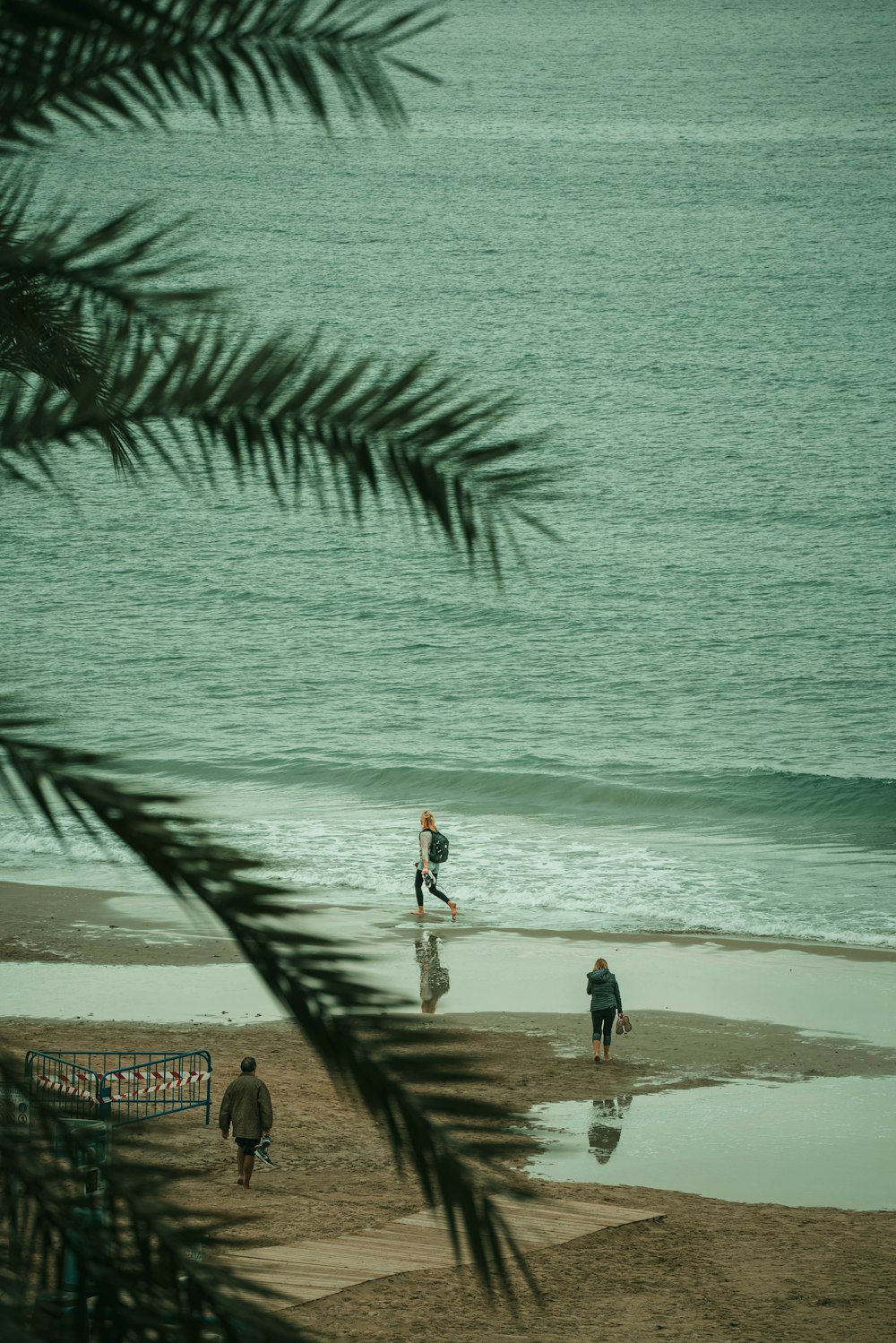 a couple of people walking along a beach next to the ocean