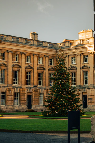 a large building with a christmas tree in front of it