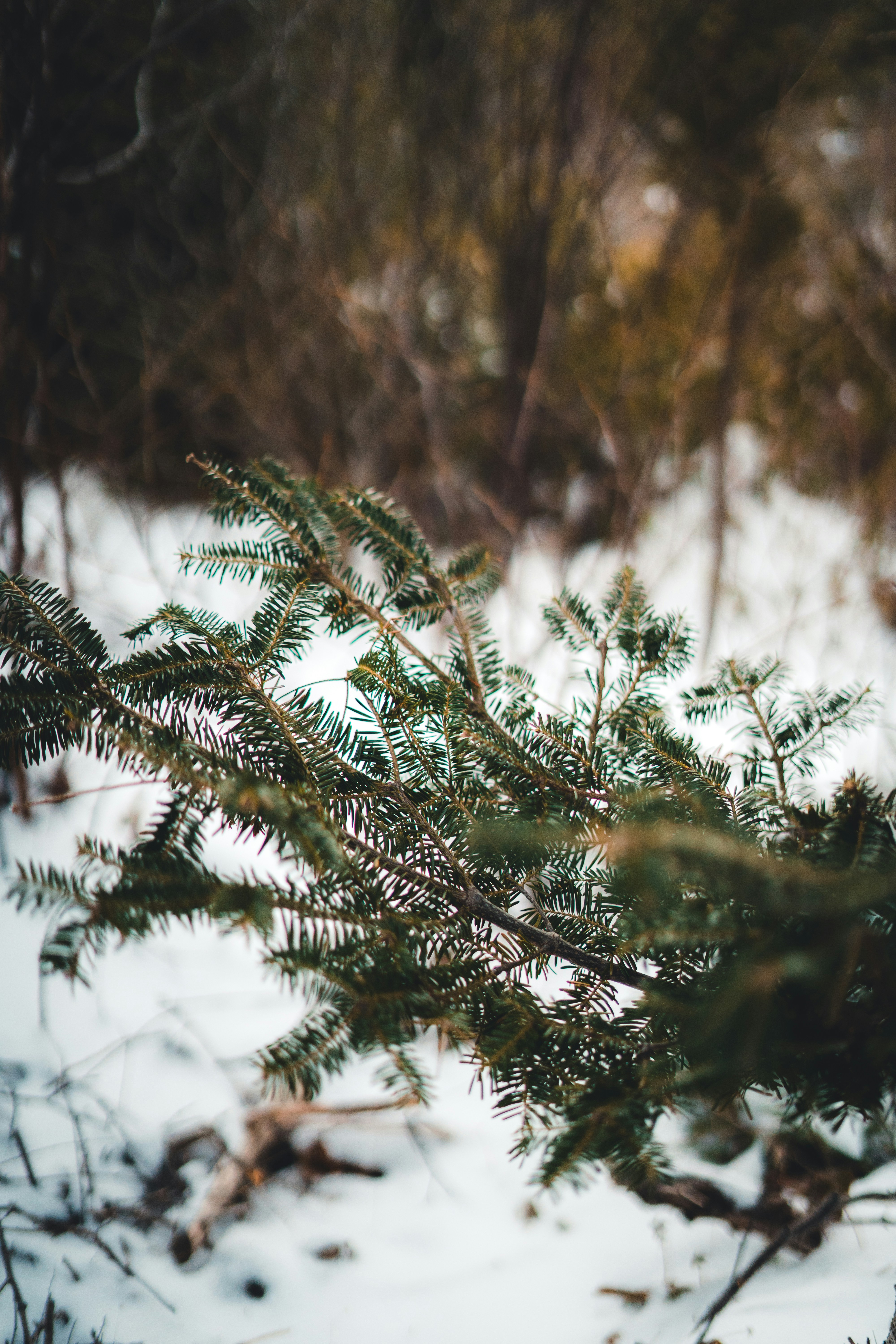 Photo by introspectivedsgn