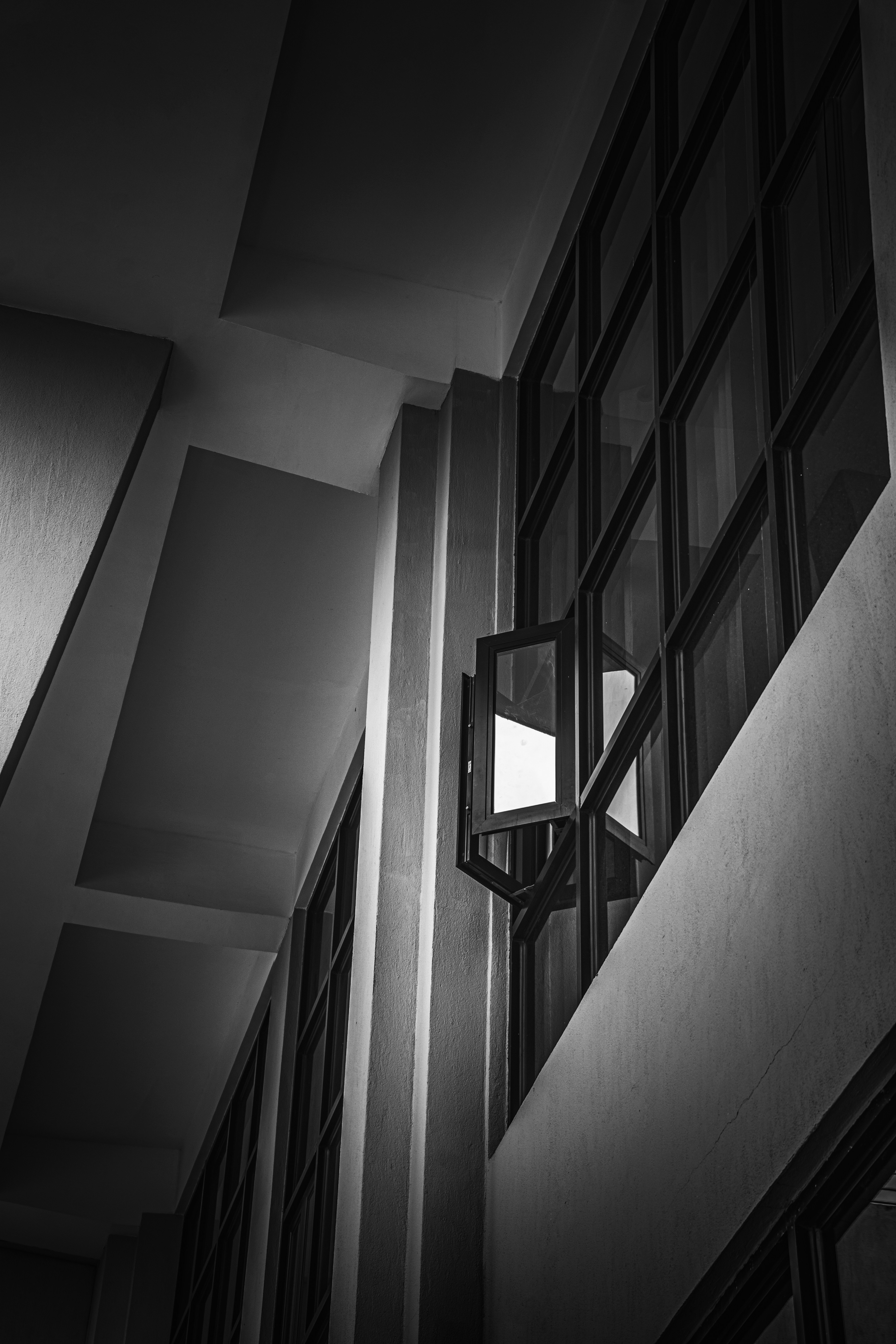 Photo by gullin_omer