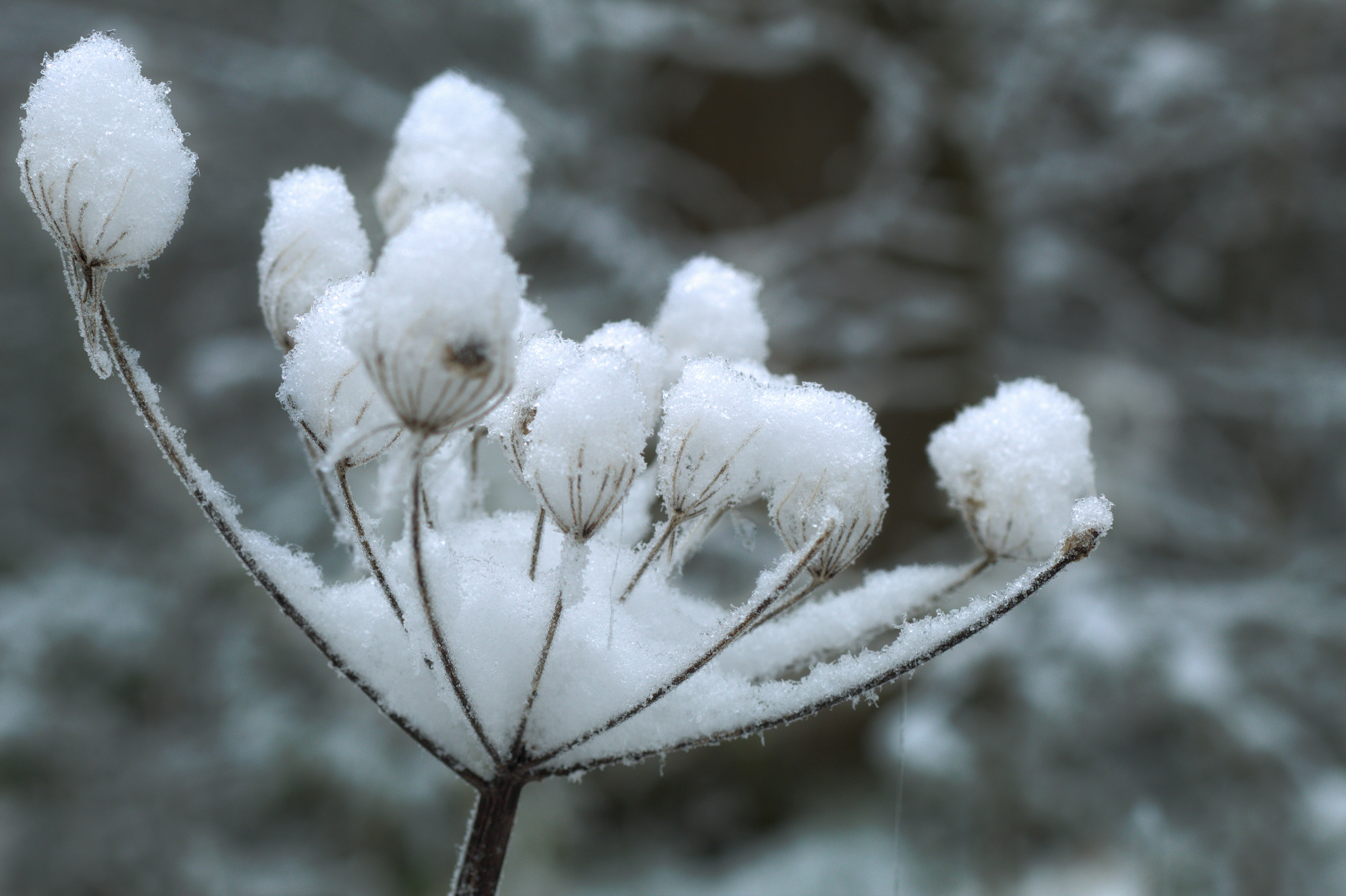 Photo by fidgetingferdie