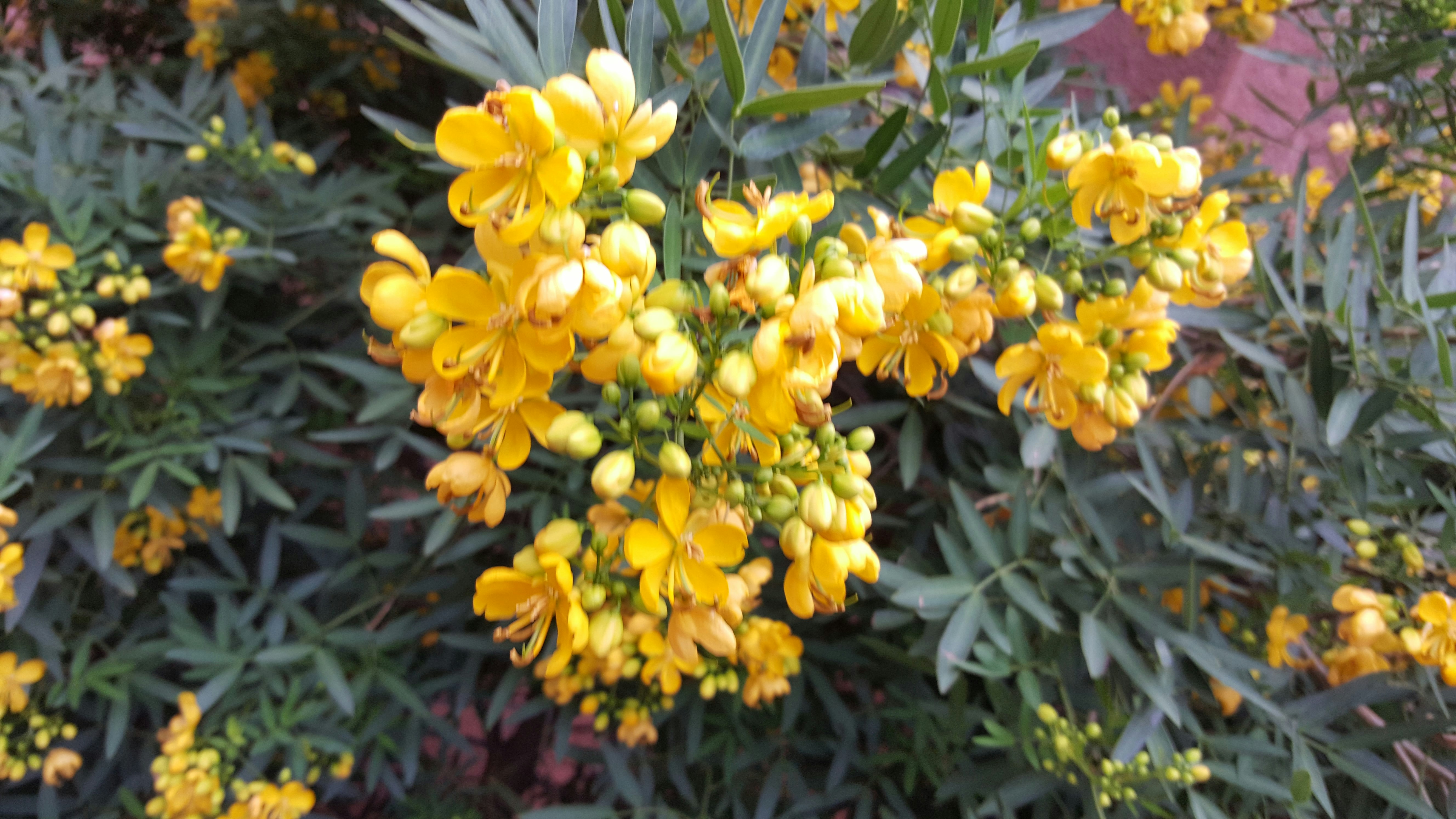 Photo by hirajeevpandey