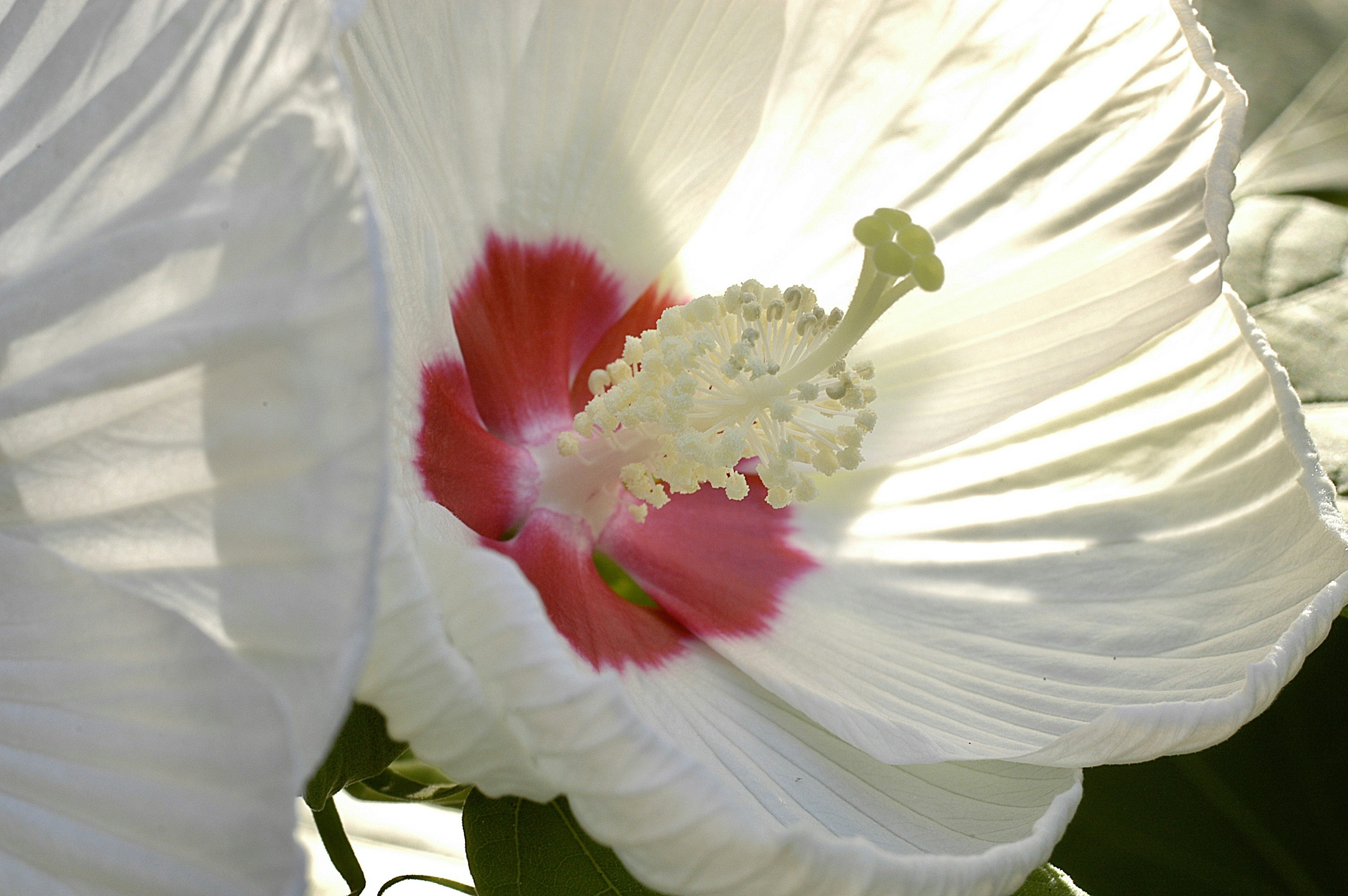 Photo by stonepetoskey