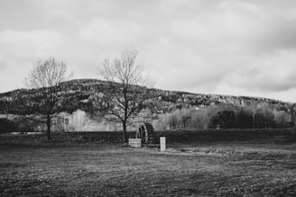 a black and white photo of a bench in a field