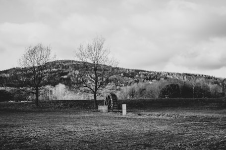 a black and white photo of a bench in a field