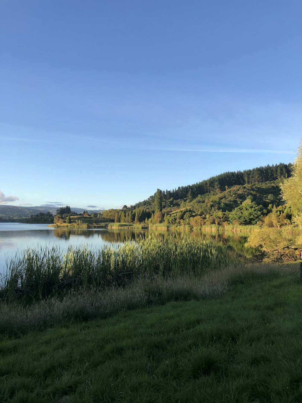 um lago cercado por grama verde exuberante e árvores