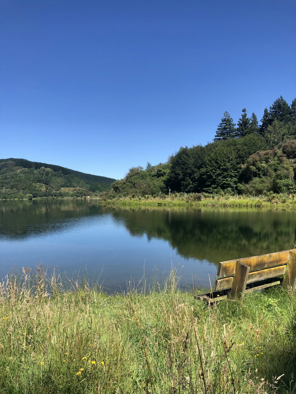 a wooden bench sitting on top of a lush green field