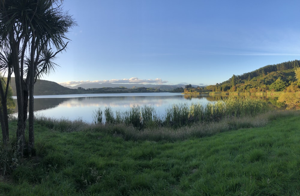 un grand plan d’eau entouré d’herbe verte luxuriante