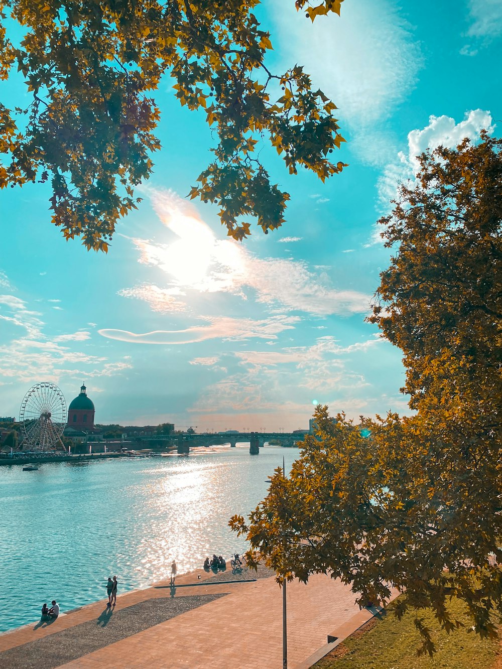 a view of a river with a ferris wheel in the distance