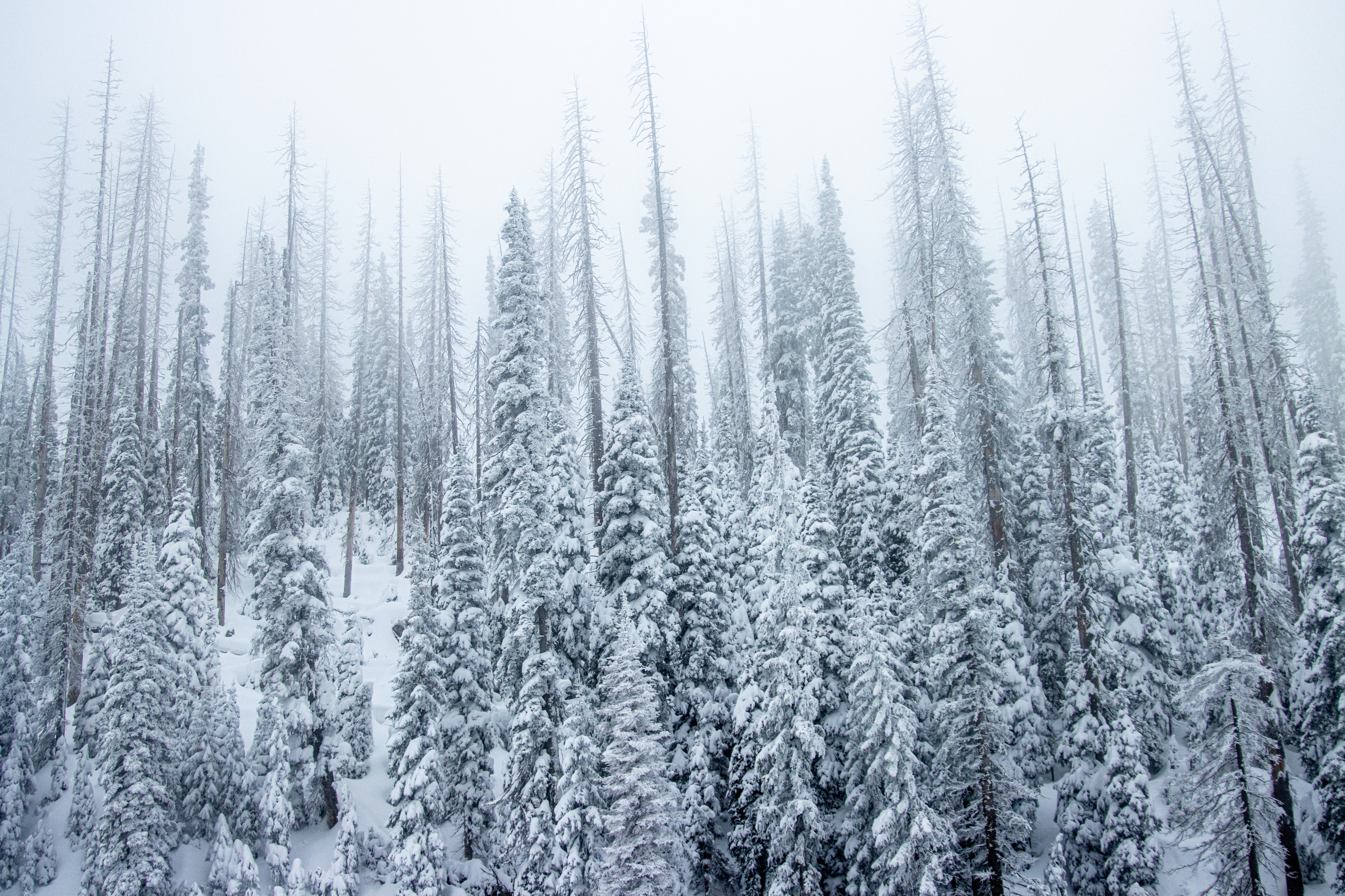 Photo by hitthetrailjack