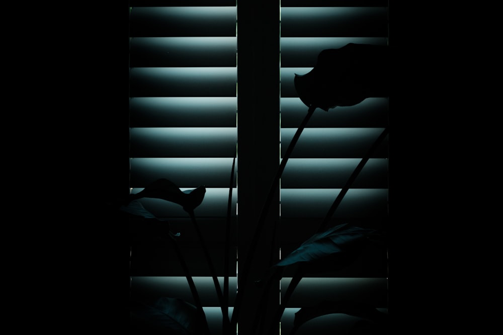 a black and white photo of a window with blinds